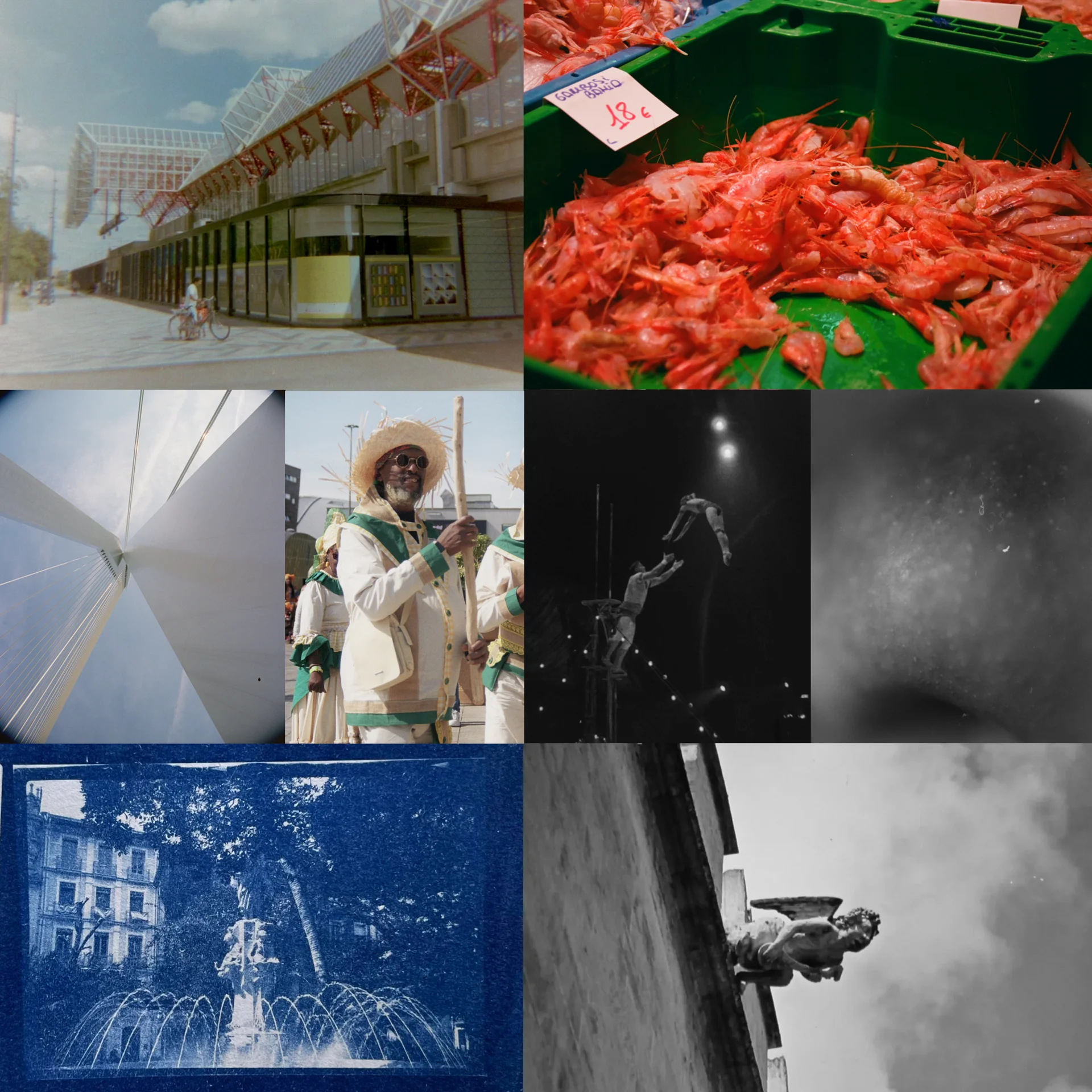 Eight-frame film collage by Lev featuring color market scene, cyanotype fountain print, night reflections, street scenes, and cherub sculpture