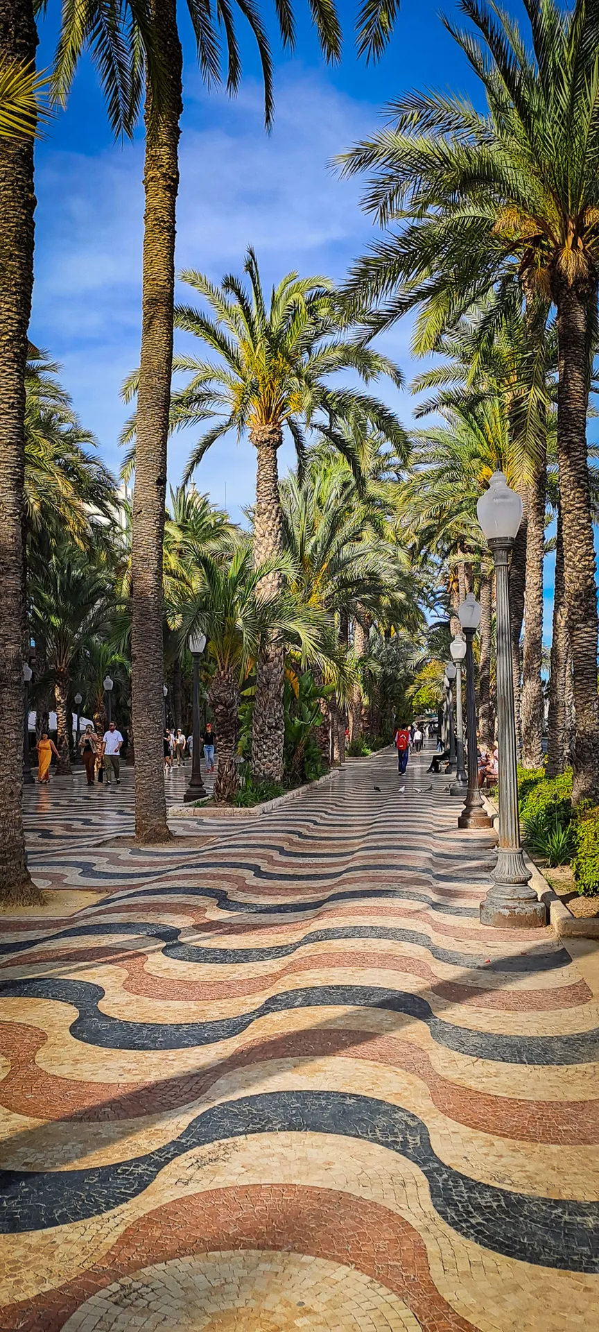 Explanada promenade with iconic wave pattern mosaic floor and palm trees | Foto Walk 2026 Alicante | MarkOWiHu Photographer