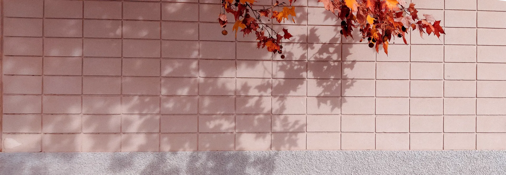 Soft pink cinderblock wall with autumnal leaf shadows casting organic patterns