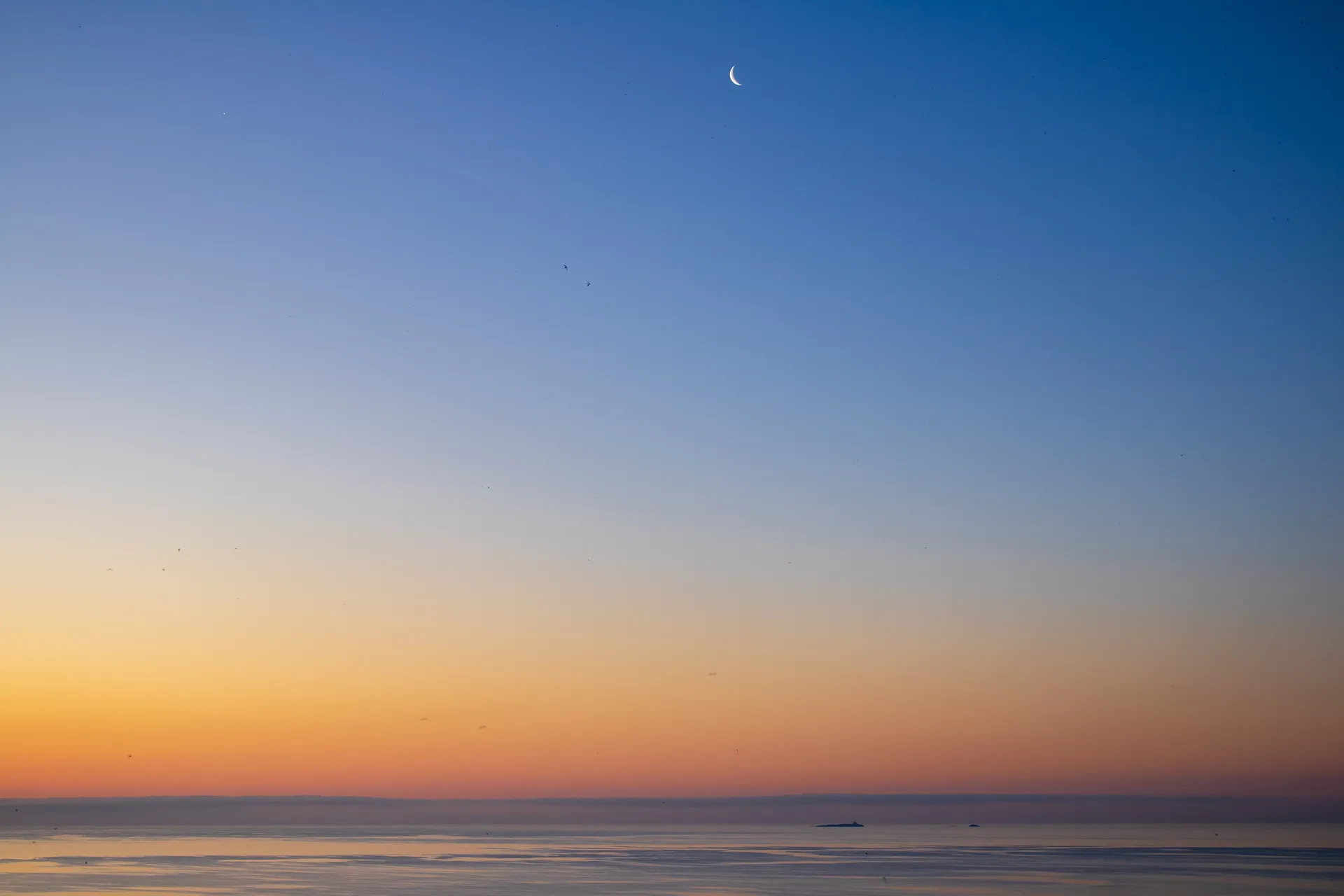 Tranquil beach line minimalist landscape composition
