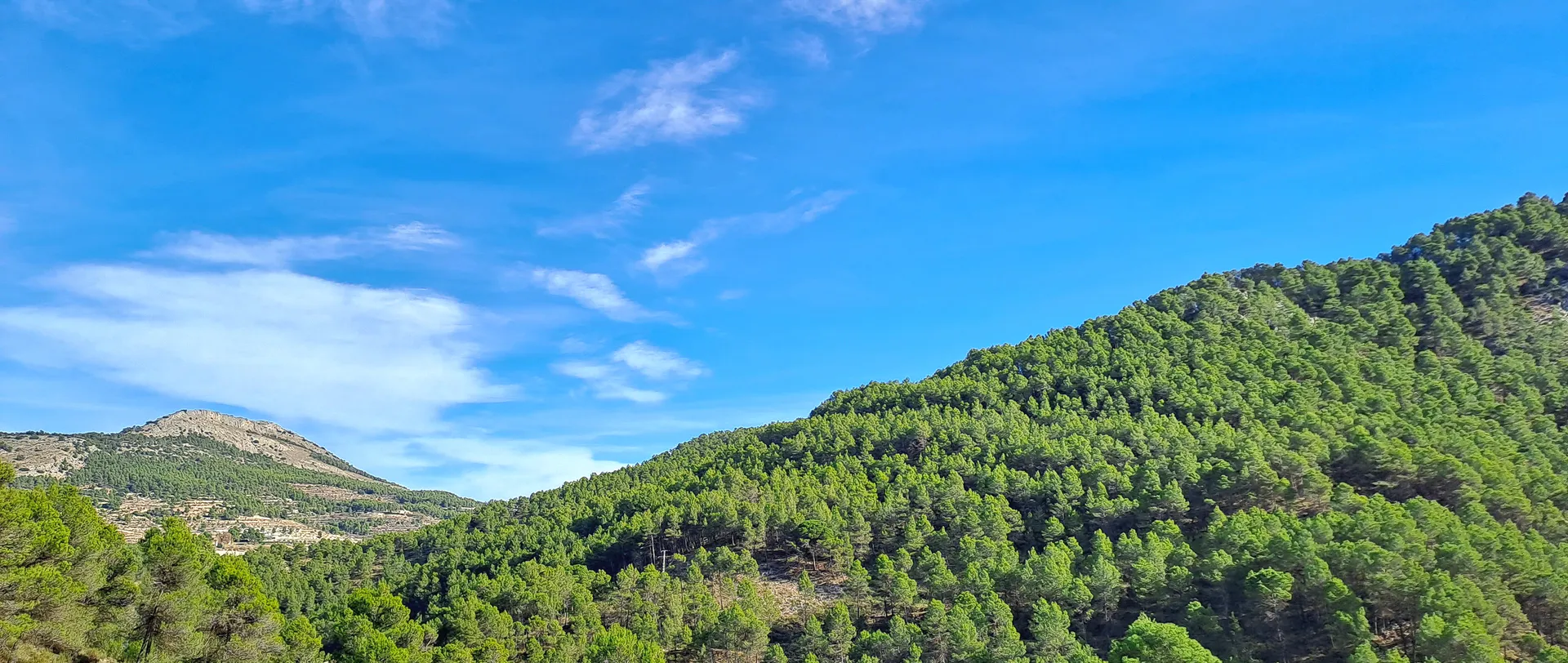 Serene mountain lake reflection framed by forest slopes | Natural World | Alicante province | MarkOWiHu Photographer Fotógrafo • markowihu.es
