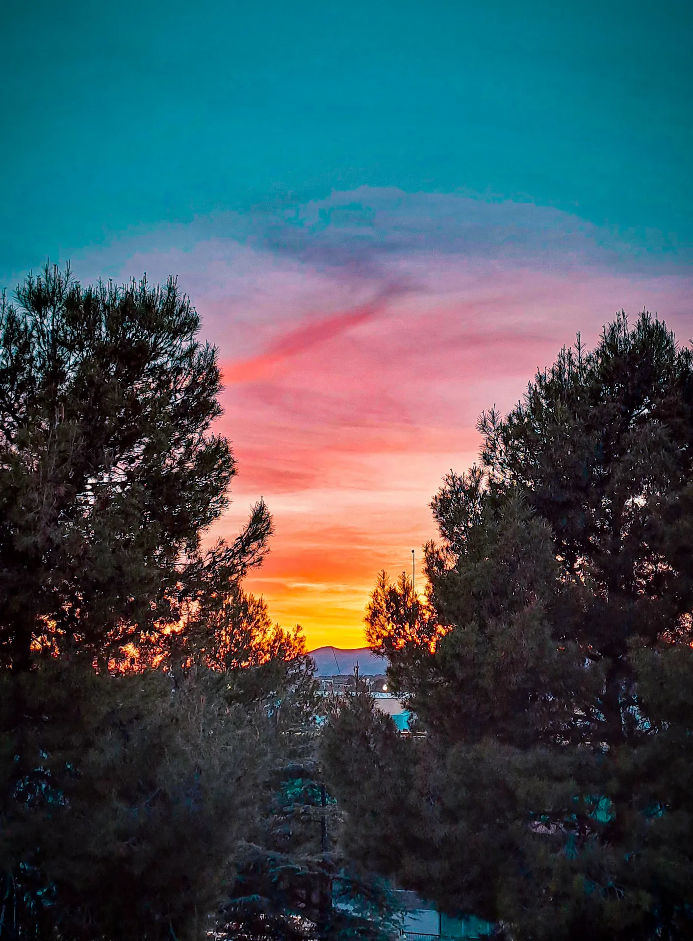 Mountain sunset framed vertically between dark pine silhouettes | Natural World | Alicante province | MarkOWiHu Photographer Fotógrafo • markowihu.es
