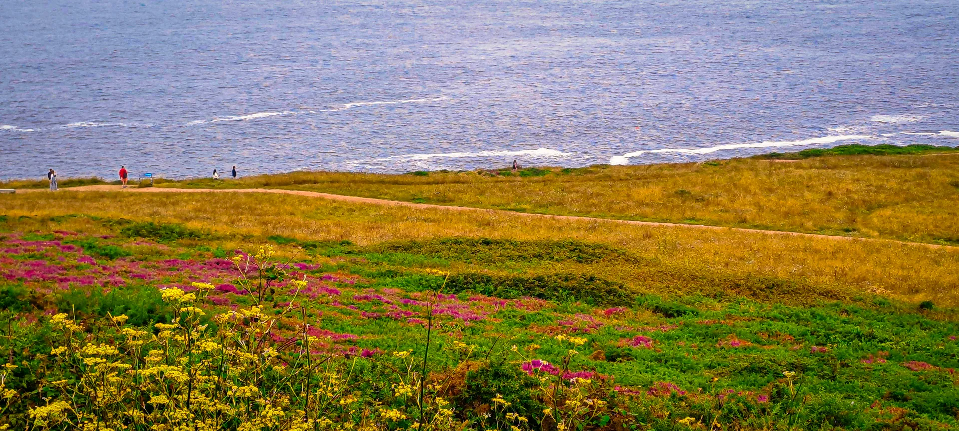 Expansive green landscape vista under clear northern sky | Natural World | Galicia | MarkOWiHu Photographer Fotógrafo • markowihu.es