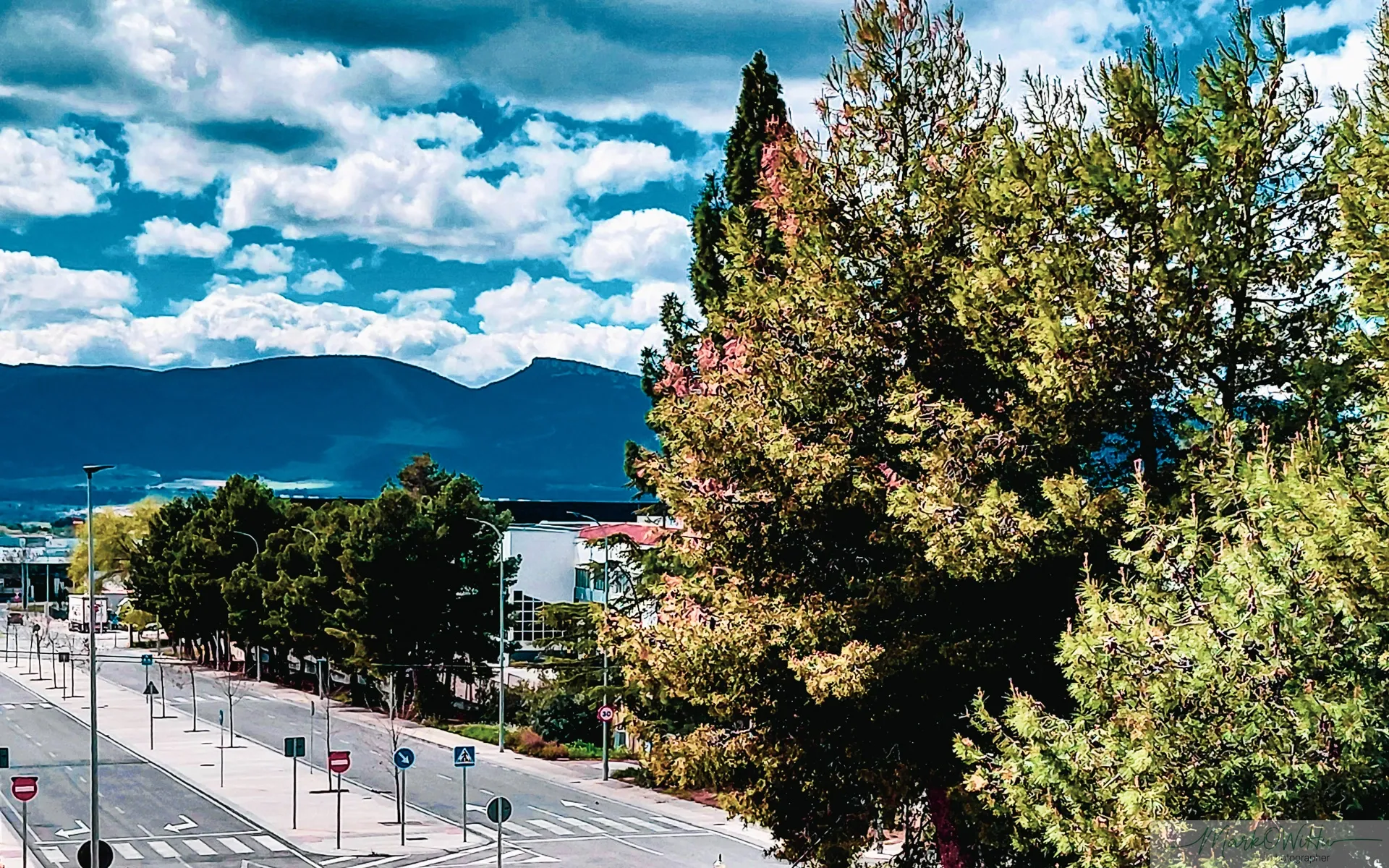 Sunlit street view framed by green trees and blue sky | Street & Humanity | Alicante province | MarkOWiHu Photographer Fotógrafo • markowihu.es