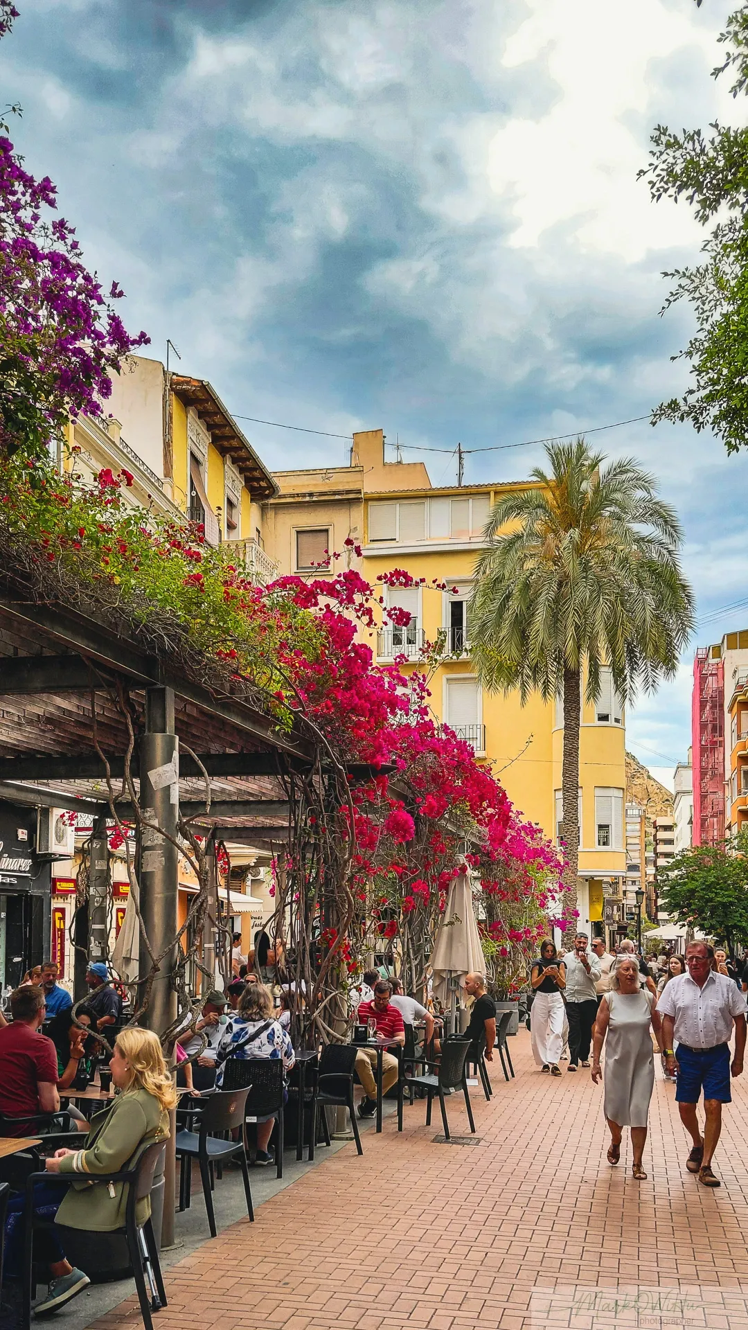 Outdoor cafe seating terrace under vibrant magenta bougainvillea canopy | Street & Humanity | Alicante province | MarkOWiHu Photographer Fotógrafo • markowihu.es
